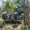 Forest brushing