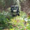 Forest brushing