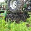 Forest brushing