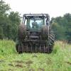 Forest brushing