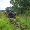 Forest brushing