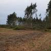 Professional Forest Manager (PFM)