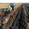 Forest ploughing