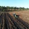 Forest ploughing