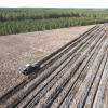 Forest ploughing