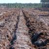 Forest ploughing