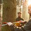 Marking, counting, cubing of trees