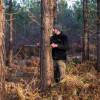 Marking, counting, cubing of trees