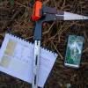 Marking, counting, cubing of trees