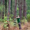 Marking, counting, cubing of trees