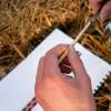 Marking, counting, cubing of trees