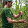 Marking, counting, cubing of trees
