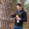 Marking, counting, cubing of trees