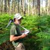 Marking, counting, cubing of trees