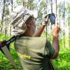 Marking, counting, cubing of trees
