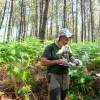 Marking, counting, cubing of trees