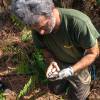 Marking, counting, cubing of trees