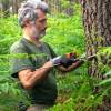 Marking, counting, cubing of trees