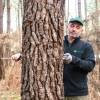 Marking, counting, cubing of trees