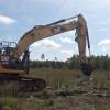 Forest work with excavator