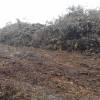 Selling wood by bidding process