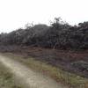 Selling wood by bidding process