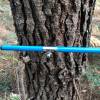 Selling wood by bidding process