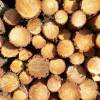 Selling wood by bidding process