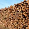Selling wood by bidding process