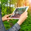 Contract to monitor a forest estate