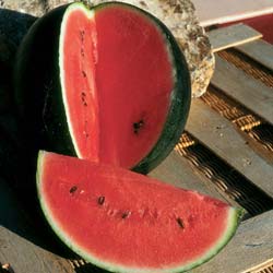 'Sugar Baby' Watermelon