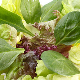 mesclun