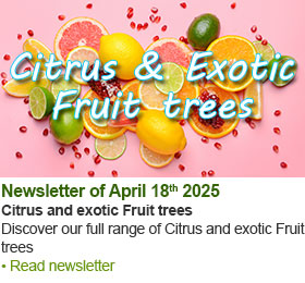 View our previous newsletter